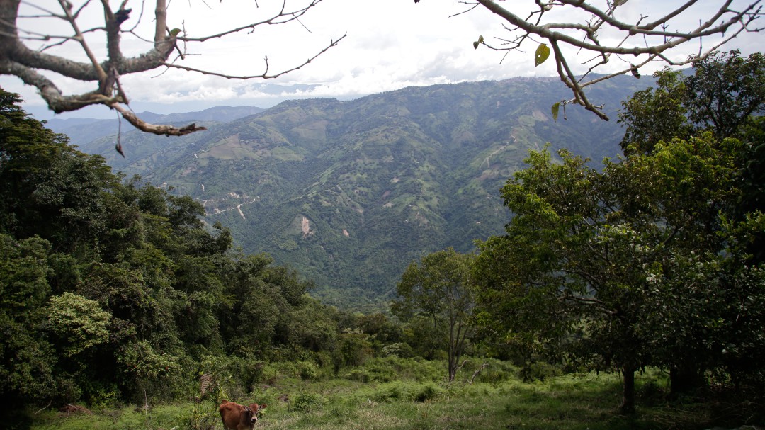 Sin demostrar violencia no se puede anular compraventa de tierras: Corte