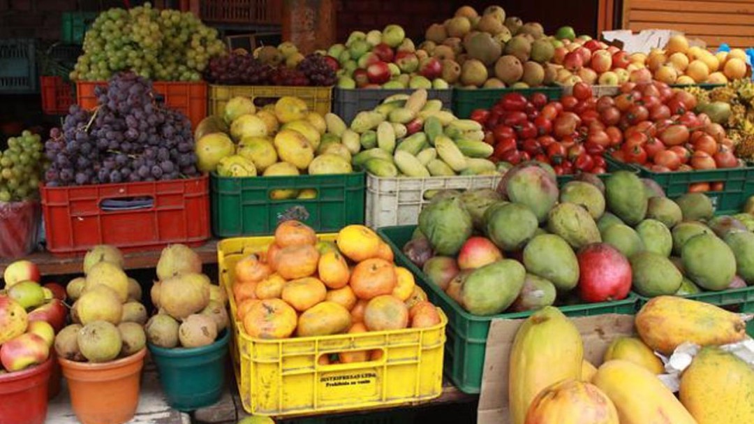 Yuca y plátano comenzaron a bajar sus precios