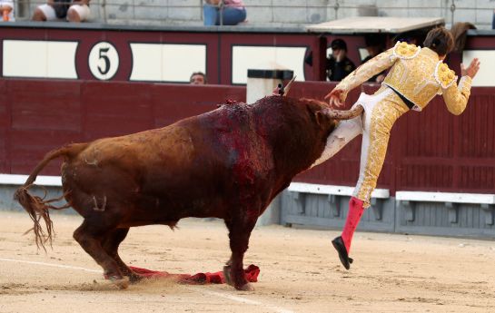 El diestro francés Juan Leal con su primero en el duodécimo festejo de la Feria de San Isidro, esta tarde en la Monumental de Las Ventas, en Madrid, donde comparte cartel con los matadores Octavio Chacón y Javier Cortés, lidiando toros de la ganadería de Pedraza de Yeltes. El diestro francés Juan Leal con su primero en el duodécimo festejo de la Feria de San Isidro, esta tarde en la Monumental de Las Ventas, en Madrid, donde comparte cartel con los matadores Octavio Chacón y Javier Cortés, lidiando toros de la ganadería de Pedraza de Yeltes.