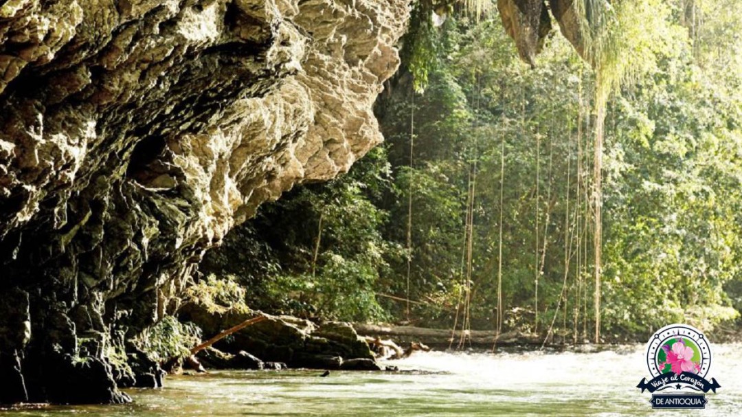 Cañón del Río Claro, donde habitan cientos de especies de aves
