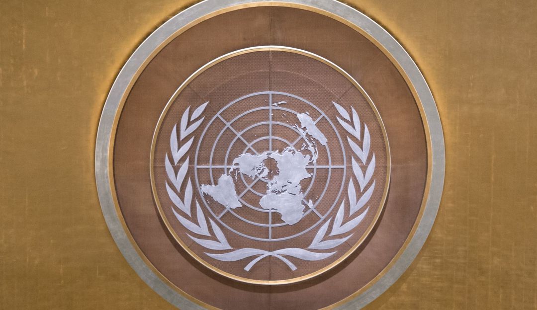 Organización de las Naciones Unidas (ONU)
