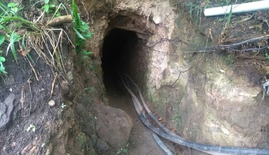 minería ilegal afectación al medio ambiente fauna flora: Minería ilegal en Riosucio, afectó el ecosistema