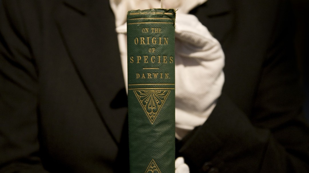 Subastan una de las primeras copias de "El origen de las especies" de Darwn