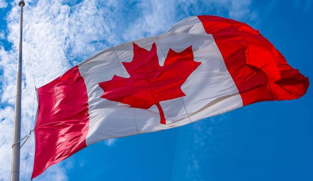 Canada rechaza violencia en colombia: Canadá condena el uso desproporcionado de la fuerza policial en Colombia