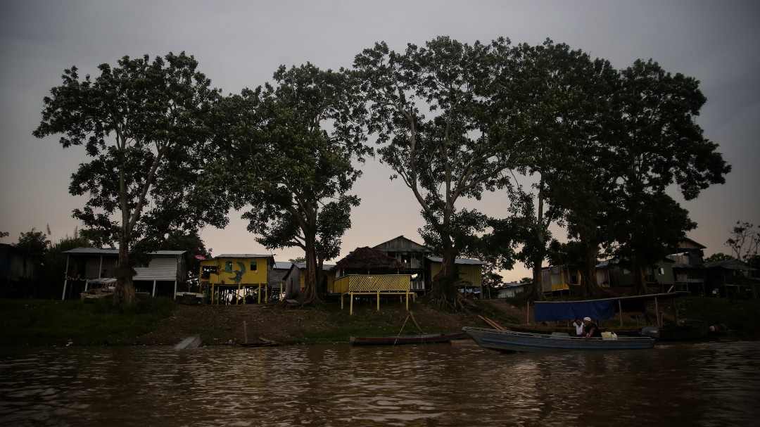 Deforestación en Amazonía podría haberse aumentado luego del acuerdo de paz