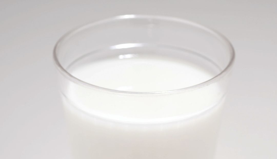 Importación de leche en Colombia: Duque cierra la puerta a la importación de leche y derivados