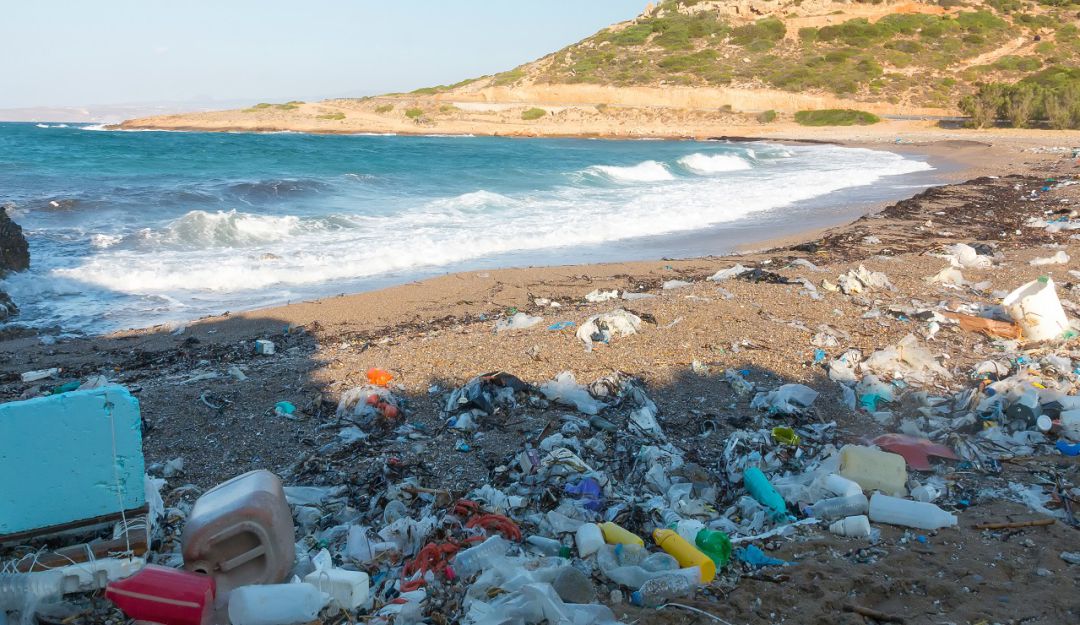 Plástico, oceanos: Cada año, 8 millones de toneladas de residuos plásticos son descargados