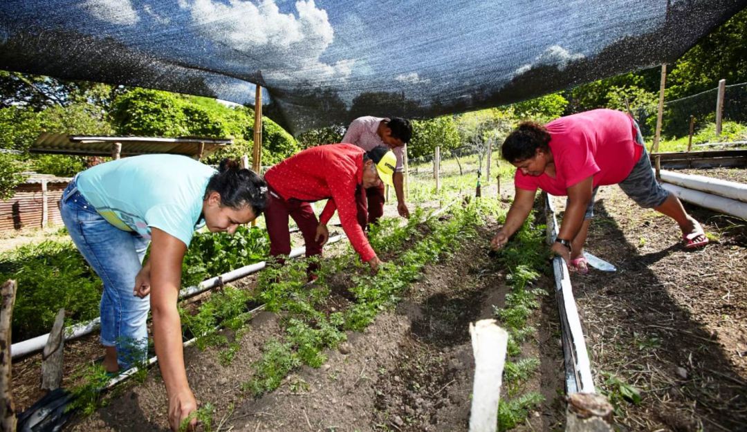 En Bolívar Prosperidad Social: En Bolívar Prosperidad Social atenderá 2.000 familias