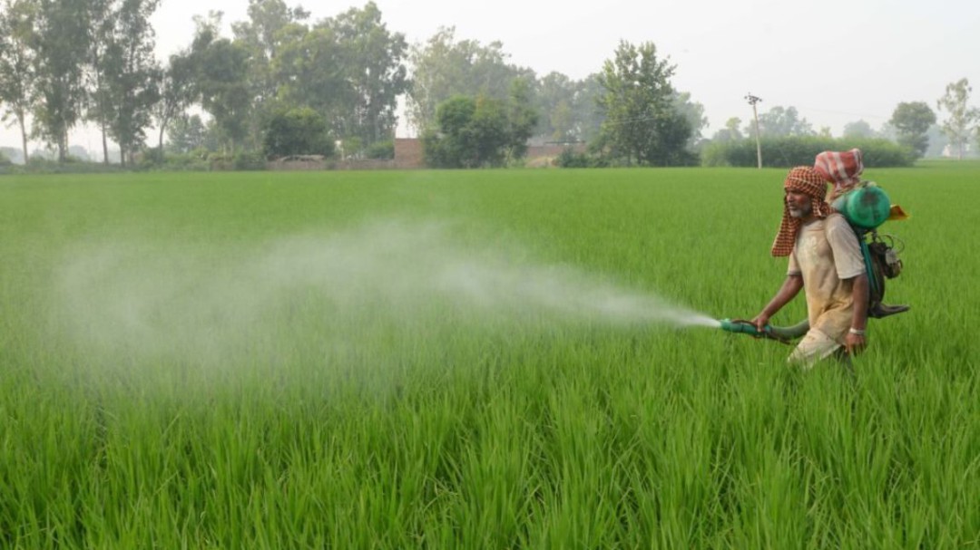Pesticidas usados en EE.UU. son prohibidos en Europa