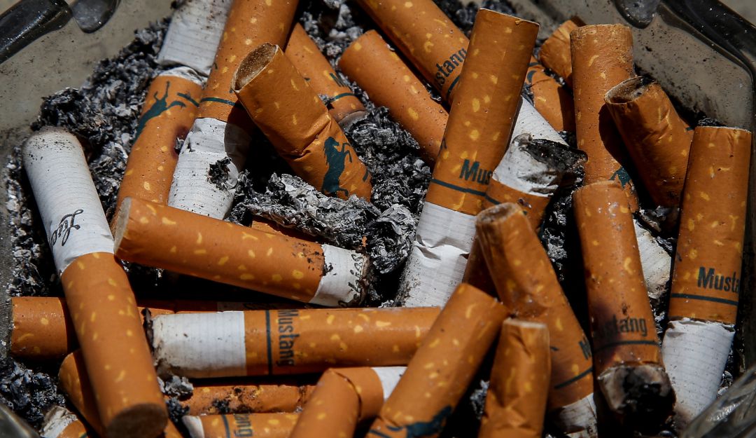 Producción cigarrillos: Cierre de plantas de Coltabaco alarma a los tabacaleros colombianos