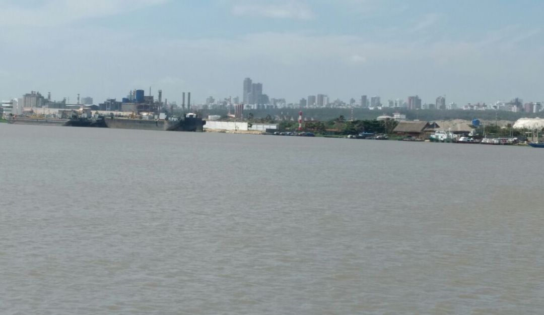 Contaminación en el río Magdalena: Cormagdalena debe responder por contaminación en el río Magdalena: Lorduy