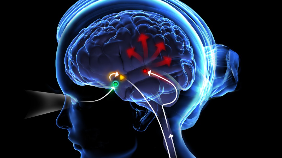 Los beneficios de activar la glándula pineal