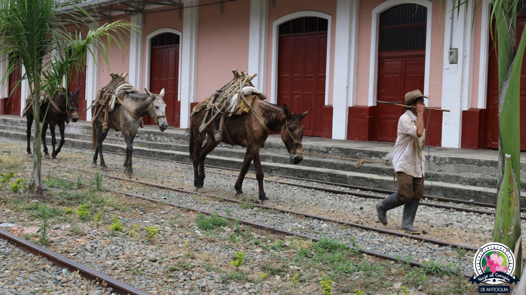 Cisneros, el municipio que nació con el Ferrocarril de Antioquia