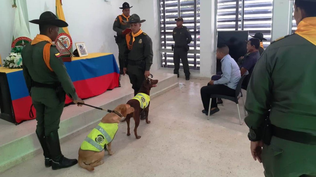 Adiós a Stuart, el perro antiexplosivo de la Policía de Bolívar