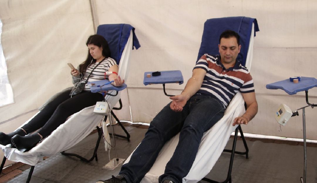 Día mundial del donante de sangre o donante de vida