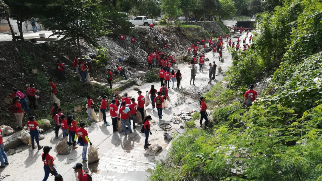 Voluntarios recogieron más de 10 toneladas de basuras en arroyo de Soledad