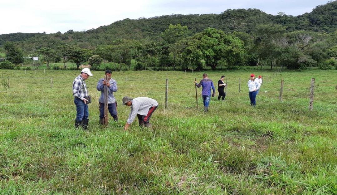 Siembra de árboles: ¡A salvar la Amazonía!