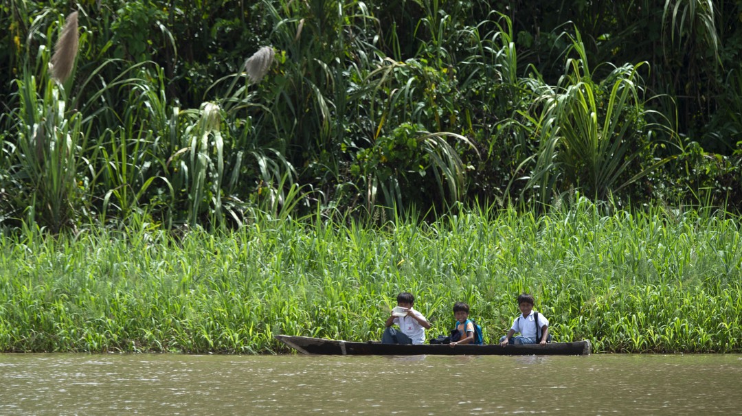 Vaticano podría ordenar hombres casados y mujeres para la Amazonia