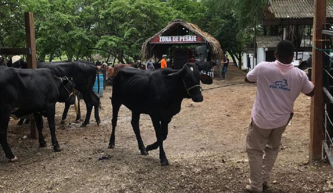 ESPECIAL FERIA DE LA GANADERÍA: Montería se prepara para la edición 59 de la Feria Nacional de la Ganadería