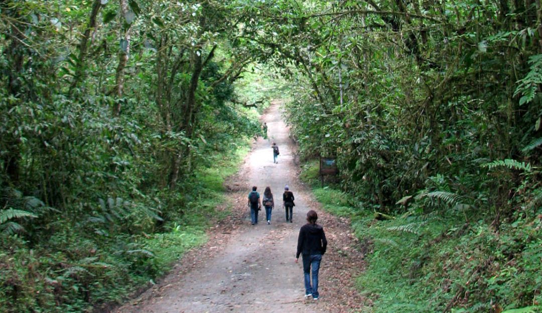 Parques naturales