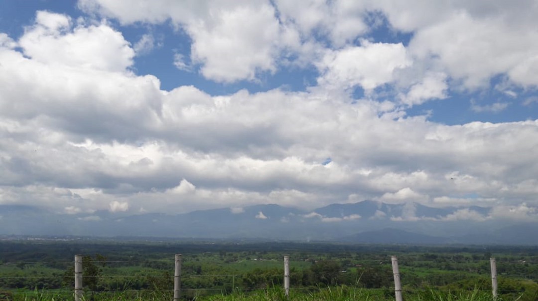 Jueves 20 de junio, las noticias más importantes de Armenia y Quindío