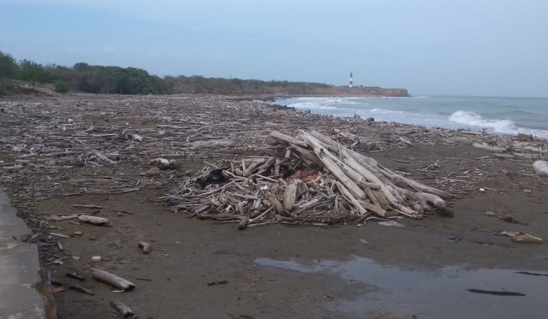 Basuras en ríos y playas: Basuras del Río Magdalena invaden las playas de Galerazamba