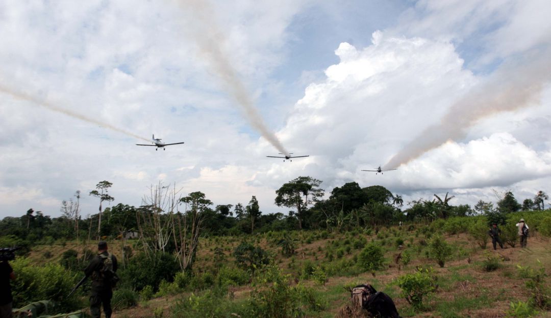 Glifosato en Colombia: Vuelve fantasma de la descertificación a Colombia, según Bloomberg