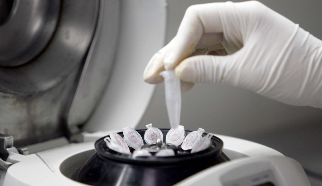 Pruebas de ADN: Solo el 35% de los padres que se realizan pruebas de ADN son los biológicos