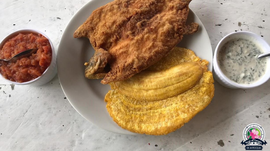 La trucha más dulce de Antioquia se come en el suroeste