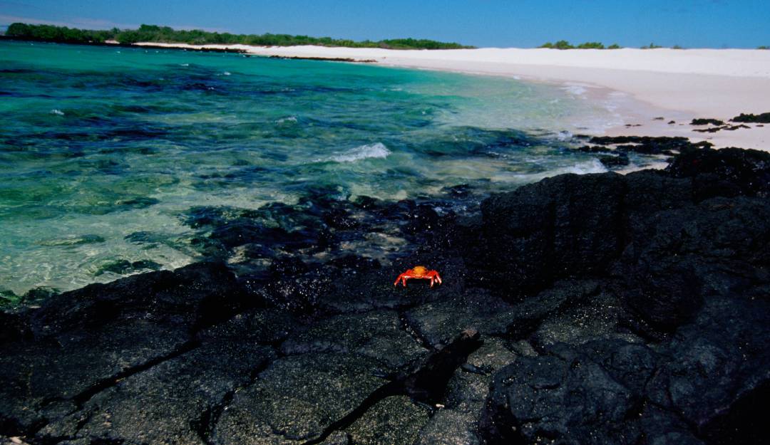 Islas Galápalos
