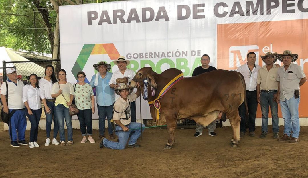 Finalizó la Feria Ganadera con premiaciones ovinas, equinas y bovinas