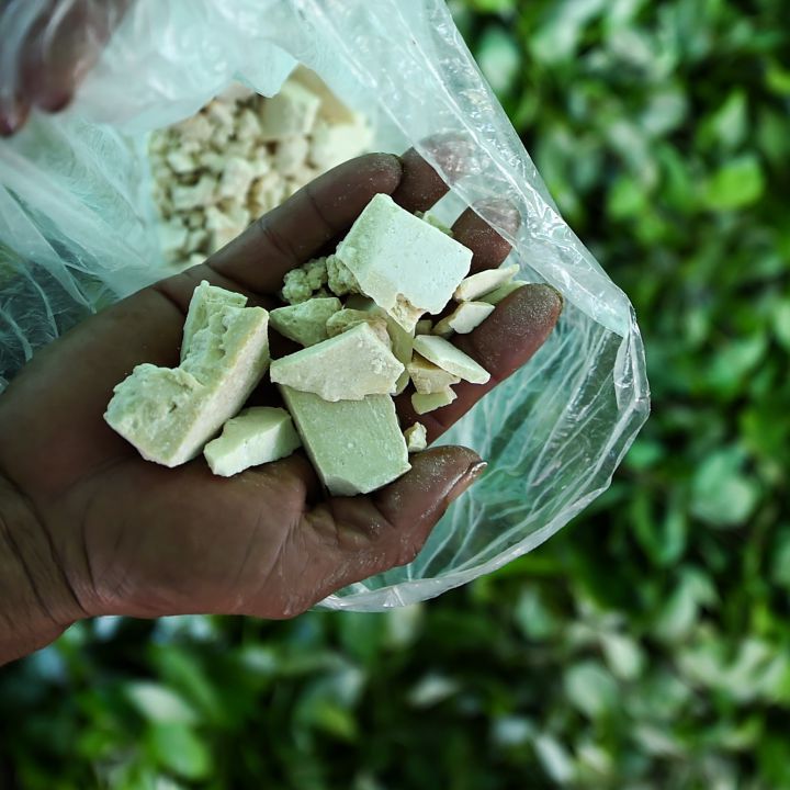 ONU: Impulsada por Colombia, producción de cocaína marcó récord mundial