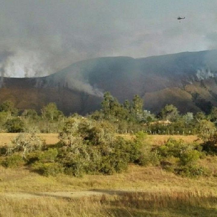 Incendio ha consumido 10 hectáreas de bosque en Villa de Leyva, Boyacá