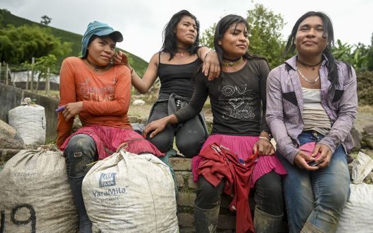 Transexuales Colombia: Indígenas trans en Colombia, una vida en fuga entre cafetales Transexuales Colombia: Indígenas trans en Colombia, una vida en fuga entre cafetales