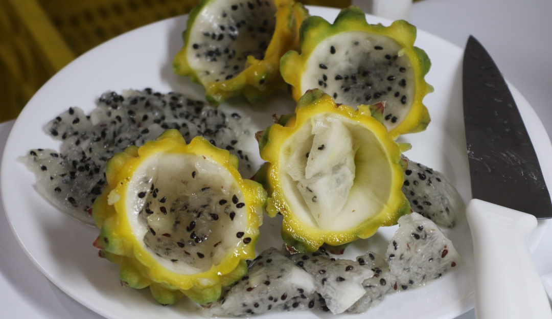 Pitahaya