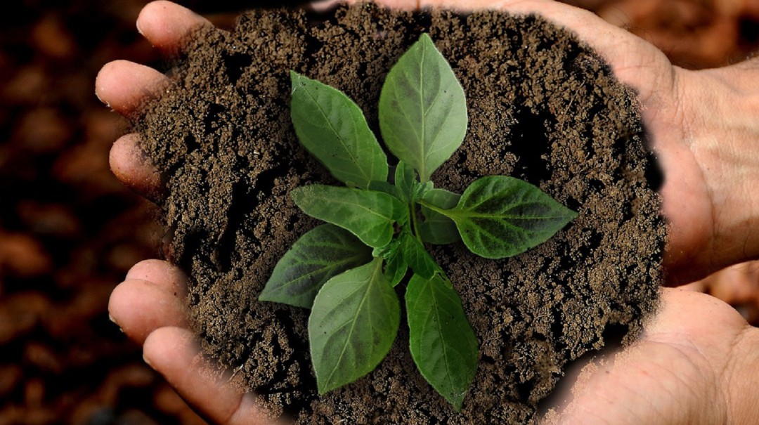 La "química verde" para proteger la salud humana y el medio ambiente