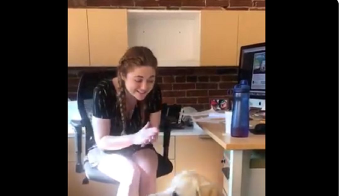 Videos de perros: Video: Le enseña a su perro lenguaje de señas