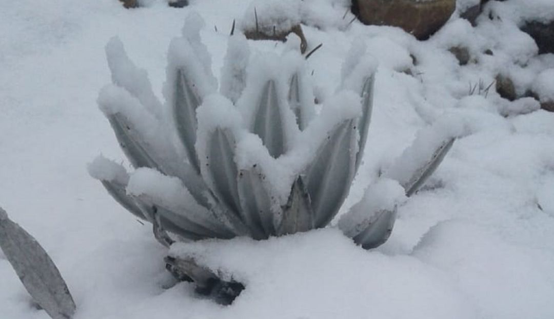 Nevado del Cocuy: Espectacular caída de nieve en el Nevado del Cocuy