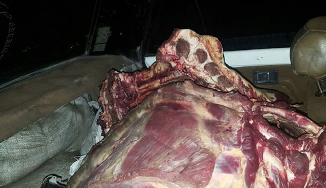 BUCARAMANGA CAPTURAN PERSONAS QUE ROBABAN CABALLOS PARA VENDER CARNE: Robaban caballos para vender su carne