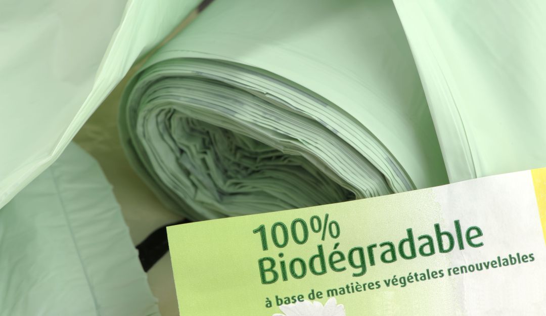 Día Libre de Plásticos: 1.000 bolsas biodegradables regalarán en Pasto