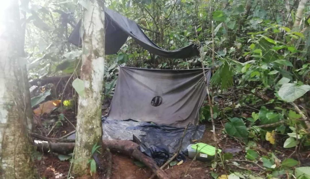 Conflicto armado en Risaralda: Pareja de esposos secuestrada por el ELN fue liberada en Pueblo Rico