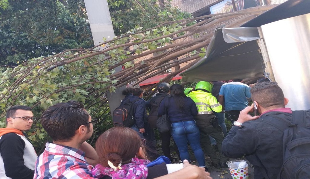 Árbol cayó sobre quiosco en Bogotá y deja dos heridos