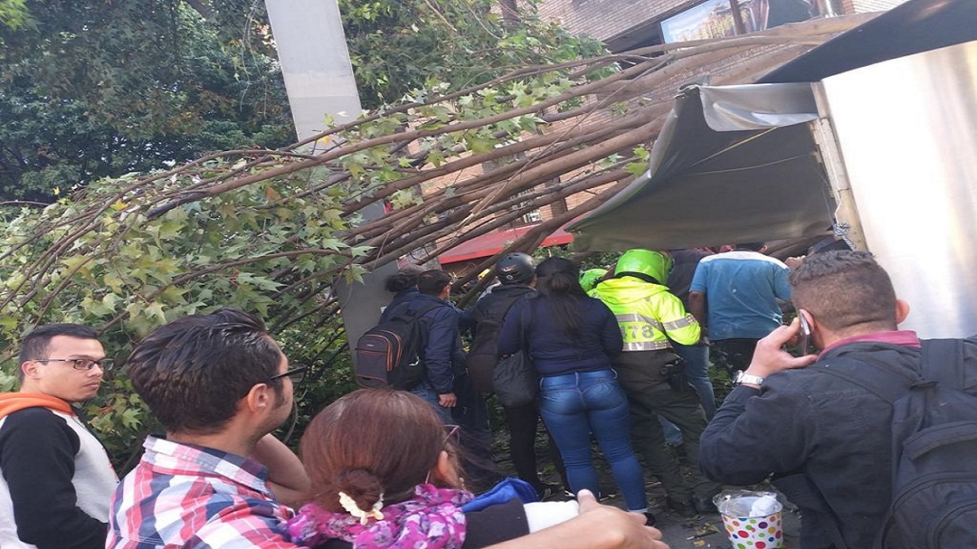 Árbol cayó sobre quiosco en Bogotá y deja dos heridos
