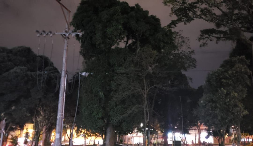 BUCARAMANGA PARQUES ALUMBRADO PÚBLICO: La oscuridad del parque Bolívar