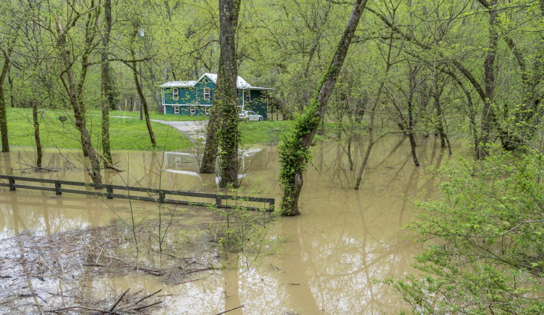 Río Kentucky
