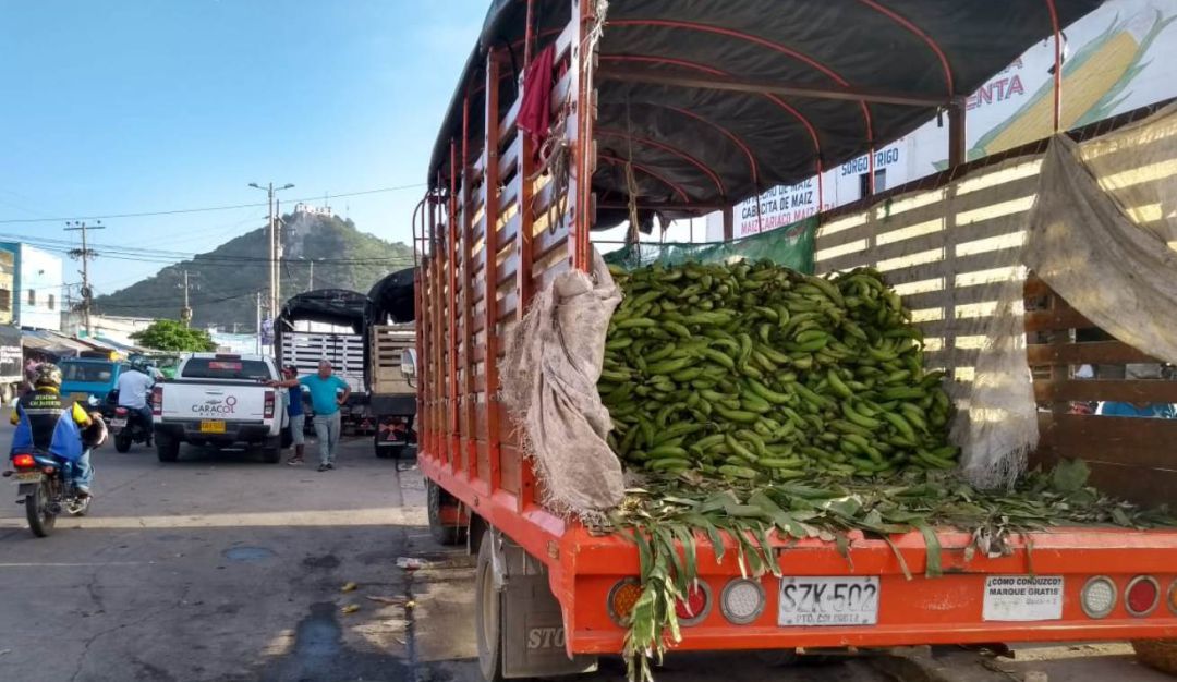 Precio plátano Cartagena: ¡El plátano está por las nubes en Cartagena!