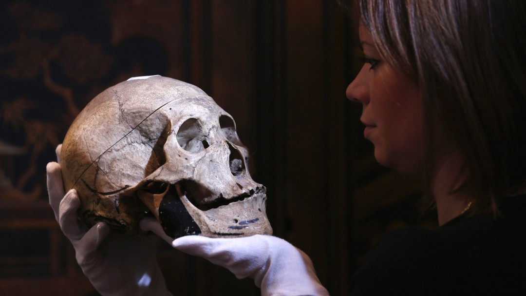 Identificado en Europa el Homo sapiens no africano más antiguo