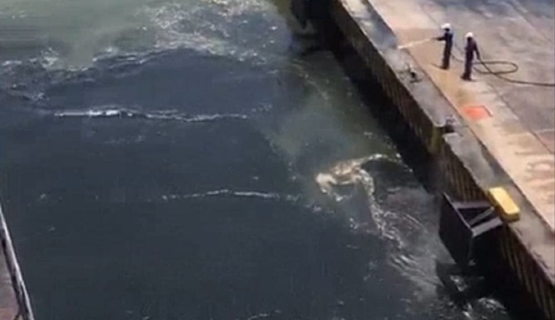 Indagación presunto vertimiento carbón Bahía Cartagena: Abren indagación por presunto vertimiento de carbón en Bahía de Cartagena