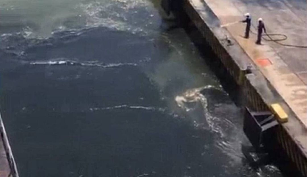 Alcalde de Cartagena carta MinAmbiente vertimiento de carbón Bahía: Alcalde de Cartagena pide tratar presunto vertimiento de carbón en la Bahía