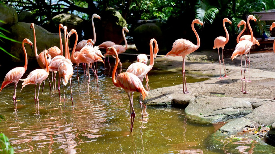 Apertura del Port Oasis Eco Park para el público cartagenero